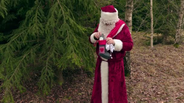 Санта-Клауса з подарунками поблизу ялина у лісі — стокове відео