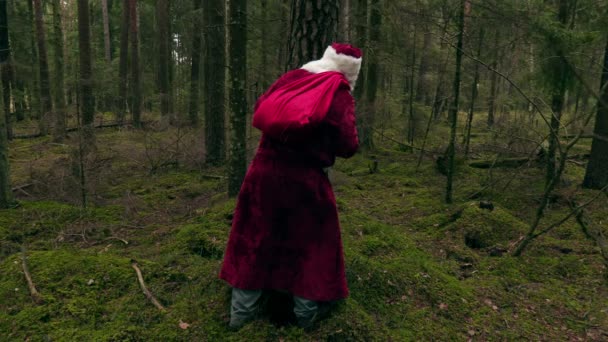 Santa Claus hiding behind the tree — Stock Video