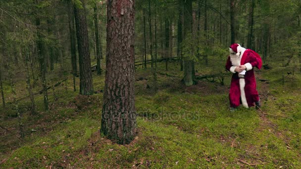 Moe Santa Claus in de buurt van bomen in bos — Stockvideo