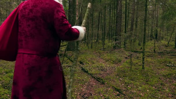 Santa Claus con bolsa de regalo caminando en el bosque — Vídeo de stock