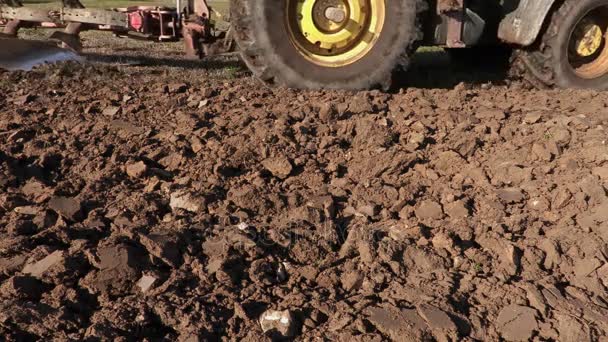 Tractor plowing field in autumn day — Stock Video