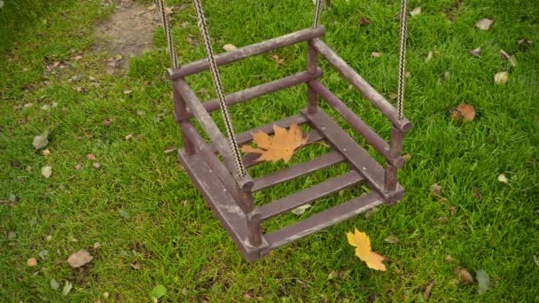 Autumn leaf on swing — Stock Video