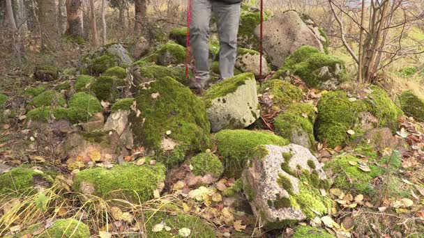 Polonyalılar kayalık alanda hiking ile uzun yürüyüşe çıkan kimse — Stok video