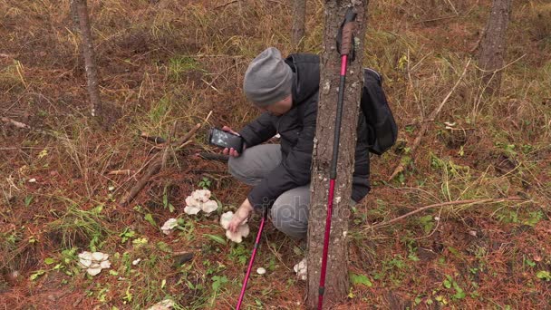 探索在森林里的蘑菇的平板电脑的人 — 图库视频影像