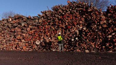 Evet ve günlükleri yığınları yürüyüş mühendisi