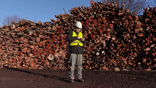 Ingeniero usando tableta cerca de montones de troncos — Vídeos de Stock