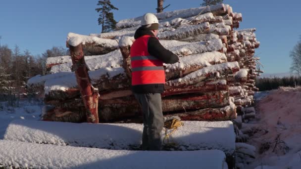 伐木工人拍照手机附近一堆木头上，在冬天 — 图库视频影像