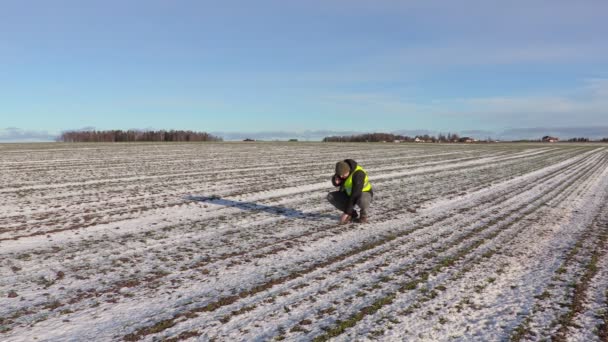 Farmer on field of snow covered plants — Stock Video