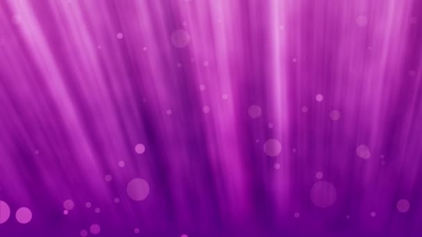 Fondo abstracto en color púrpura — Vídeo de stock
