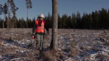 Oduncu yakınındaki ormanda chainsaw ile