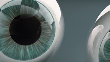 İnsan gözü çifti