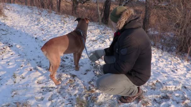 Человек разговаривает с собакой на улице зимой — стоковое видео