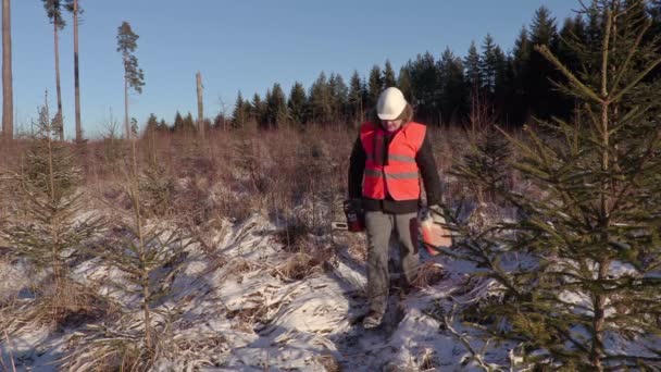 Lumberjack with chainsaw and petrol can in forest — Stock Video