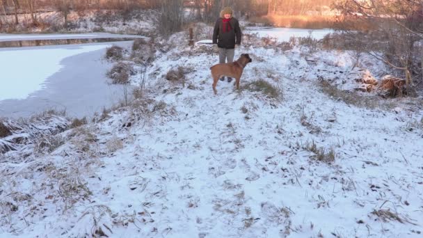 Человек, гуляющий с собакой зимой — стоковое видео