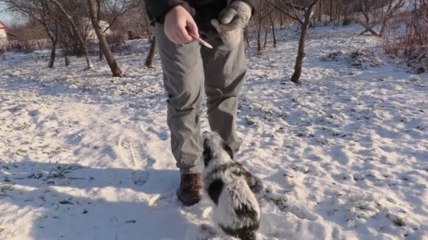 Homme essayer de nourrir petit chien — Video