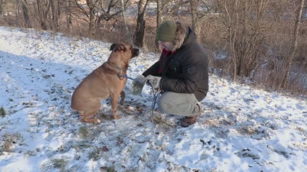 Человек учит собаку давать лапу — стоковое видео