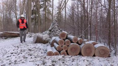 Oduncu yakınındaki küçük günlükleri yığını