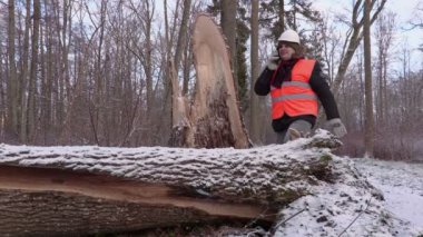 Oduncu ile telefon yakınındaki ormanda kırık ağacı