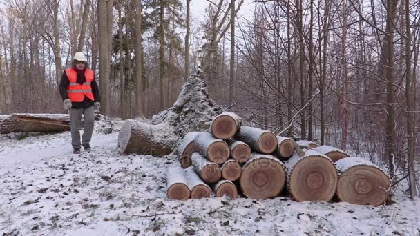 Lumberjack near pile of small logs — Stock Video