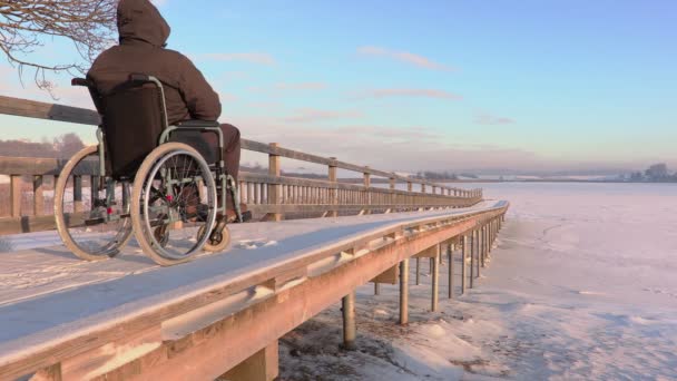 Handikappade mannen på rullstolen med assistent — Stockvideo