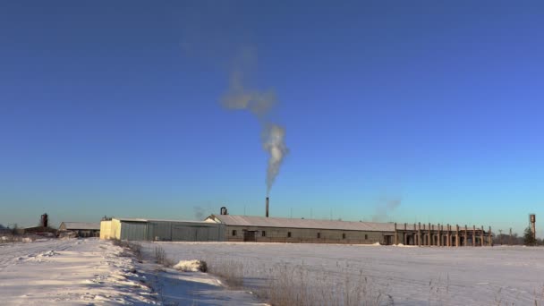 工場の煙突からの煙します。 — ストック動画