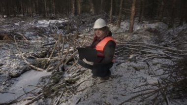 Oduncu ile laptop inceleme yok edilen orman