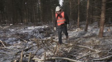 Oduncu ile tahrip ormanda yürüyüş laptop