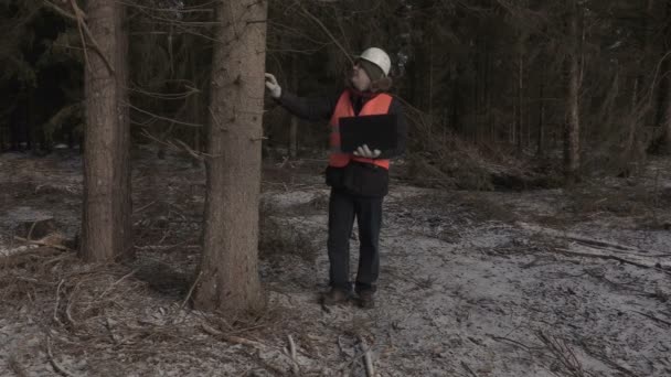 Leñador cansado con portátil en bosque destruido — Vídeo de stock