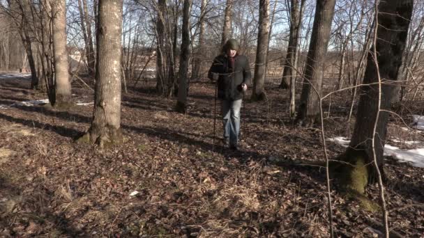 Wandelaar met wandelen Polen lopen door park — Stockvideo