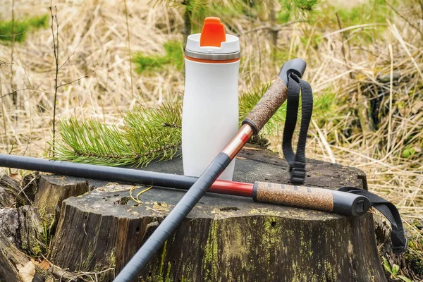 Bâtons de randonnée et thermos dans la forêt sur la souche — Photo