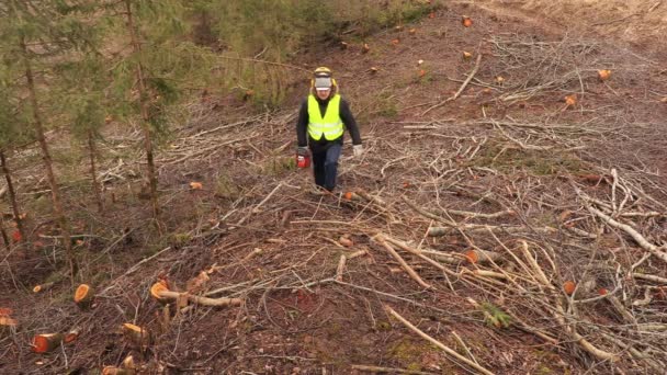 Trabajador con motosierra en pendiente escarpada del bosque — Vídeo de stock