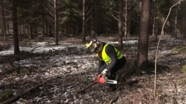 Oduncu chainsaw ile bitirmek iş ve walking away