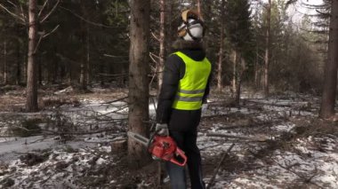 Orman içinde ağaç denetimi chainsaw ile oduncu