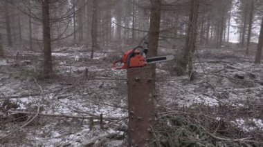 Testere kış ormanında güdük üzerinde