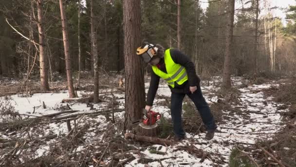 Holzfäller mit Kettensäge zeigt Daumen hoch — Stockvideo