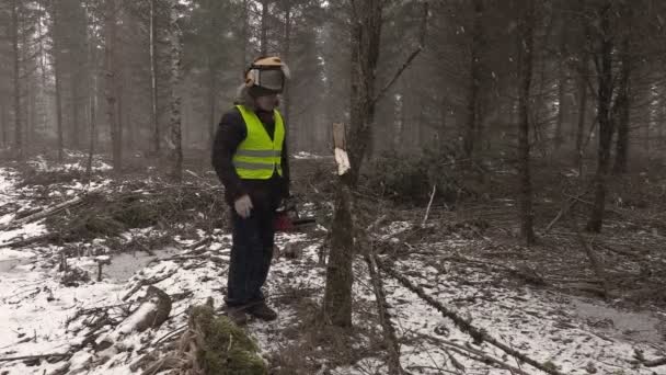Лесоруб пытается запустить бензопилу в лесу — стоковое видео