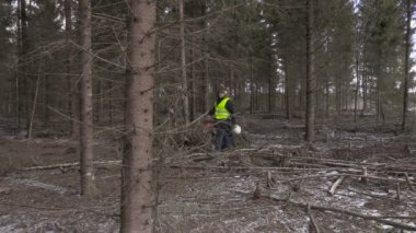 Ormanda yürüyüş chainsaw ile oduncu