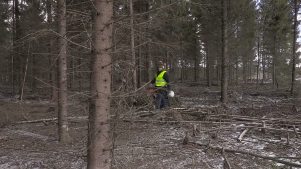 Drwal z piłą łańcuchową spaceru w lesie — Wideo stockowe