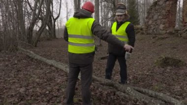 İşçiler yakınındaki Park düşmüş ağaç konuşuyor 