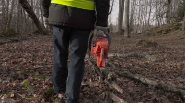 İşçi chainsaw ile başlamak yakınındaki Park düşmüş ağaç yürüme