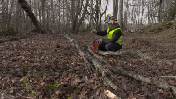 Arbetstagare kontrollera motorsåg nära fallna träd i park — Stockvideo