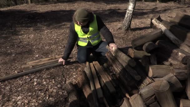 Arbeiter sortiert Baumstämme an Sommertagen — Stockvideo