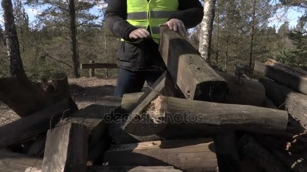 Werknemer sorteren logboeken close-up — Stockvideo