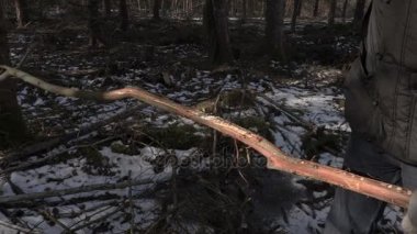 Uzun yürüyüşe çıkan kimse kesme şube pala ile