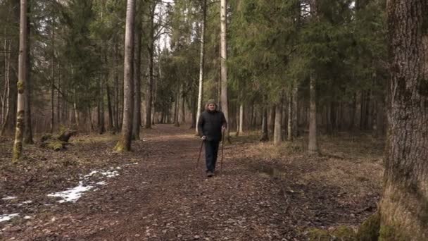 Hiker take break near tree — Stock Video