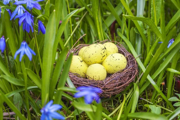 Huevos de Pascua en amarillo cerca de flores —  Fotos de Stock