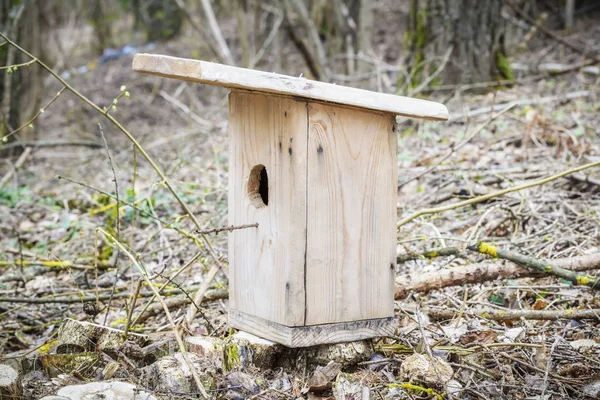 Fågelholk i skog nära träd — Stockfoto