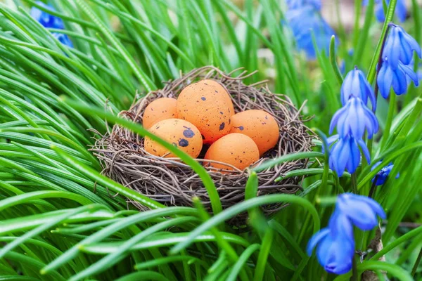 Huevos de Pascua en nido cerca de flores —  Fotos de Stock