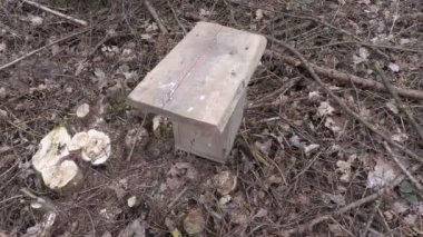 Kuş yuvası ve ağacın yanında yürüyen adam alır