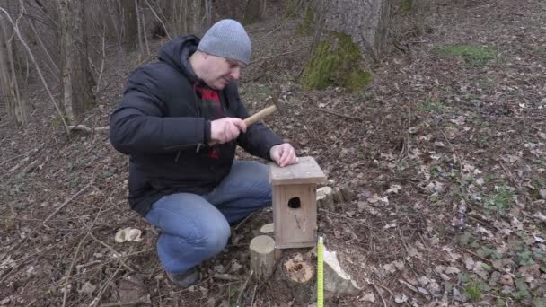 Kuş evini yakınındaki çekiç kullanan adam — Stok video